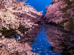 Hirosaki Park