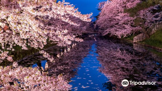 Hirosaki Park