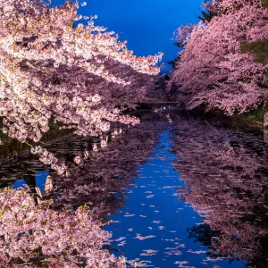 弘前公園