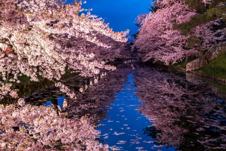 Hotels near Hirosaki Park