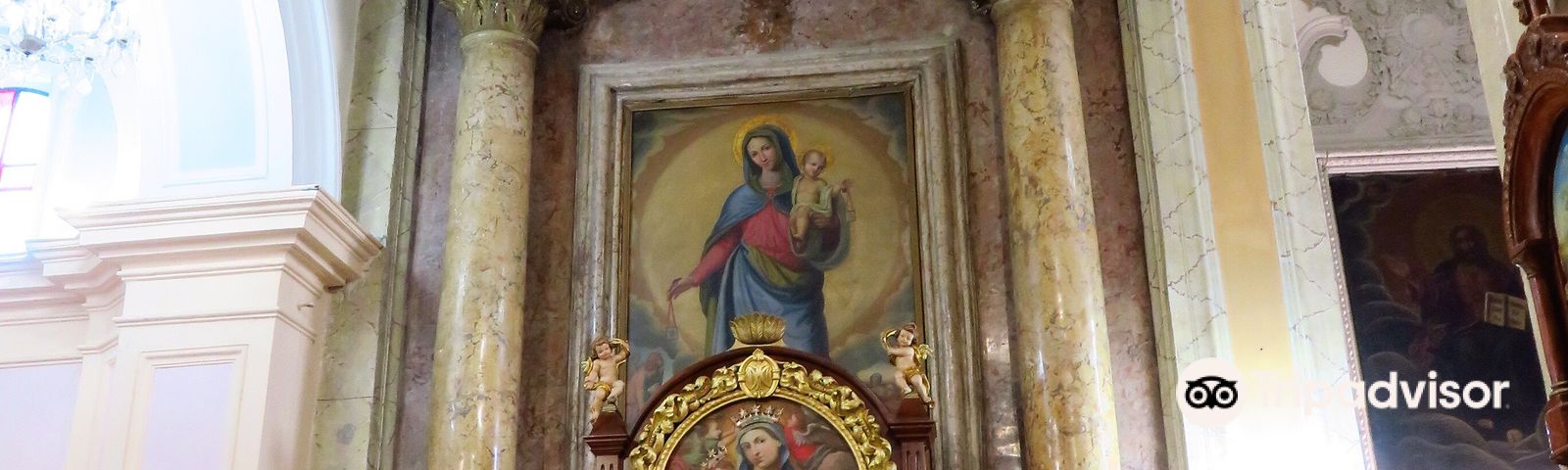 콜레파르도데이 투어