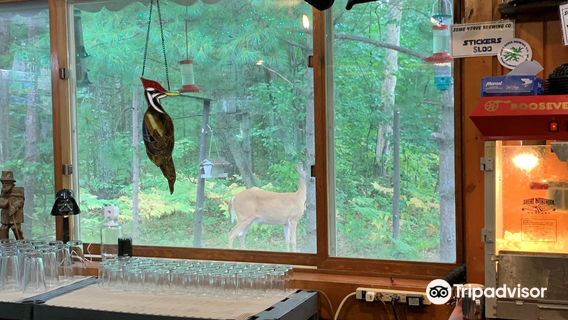 Some Nerve Brewing Company