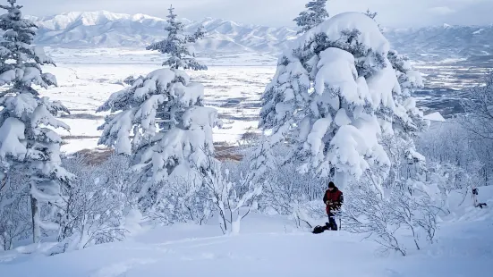 ニセコ岩内国際スキー場