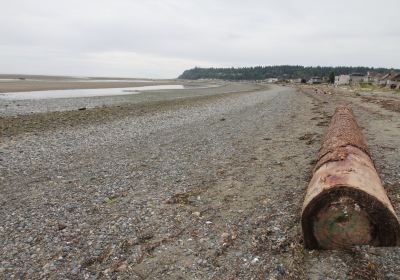 Centennial Beach