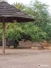 Riyadh Zoo