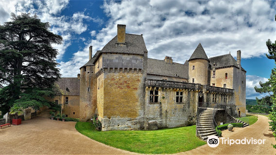 Le Chateau de Fenelon