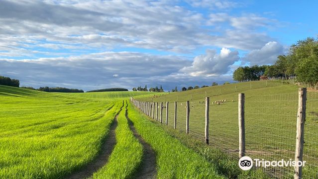 Bőszénfa deer farm
