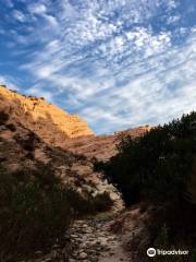 Whiting Ranch Wilderness Park