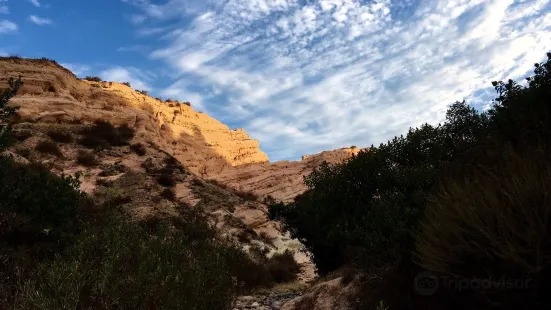 Whiting Ranch Wilderness Park