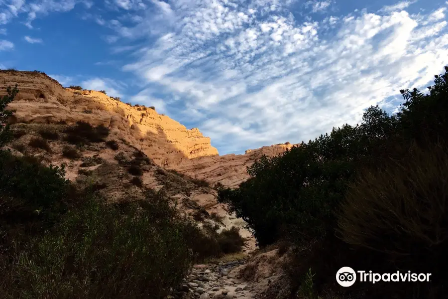 Whiting Ranch Wilderness Park