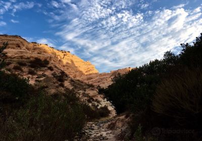 Whiting Ranch Wilderness Park