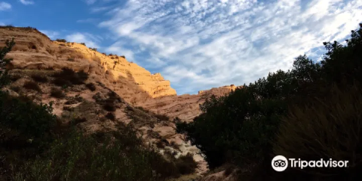 Whiting Ranch Wilderness Park