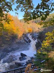 Rogie Falls