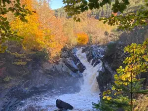 Rogie Falls