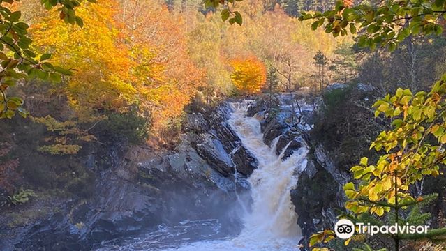 Rogie Falls
