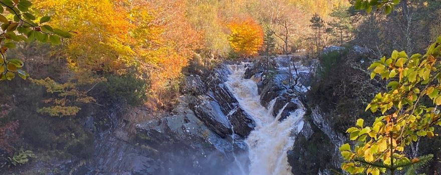 Rogie Falls