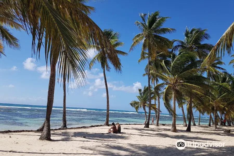 Plage de Bois Jolan