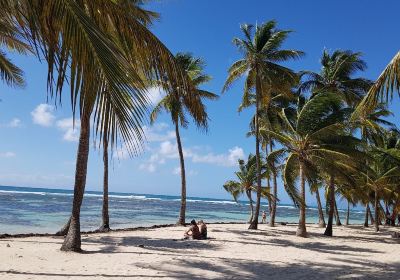 Plage de Bois Jolan