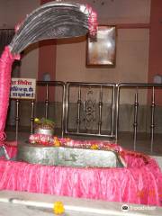 Parad Shivling