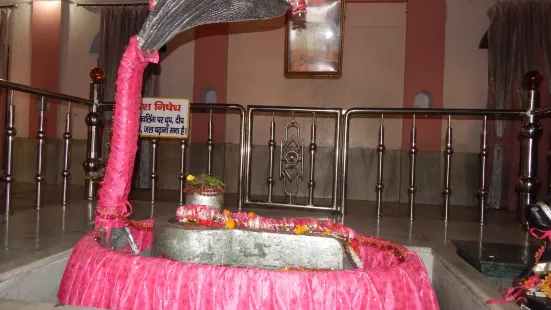 Parad Shivling