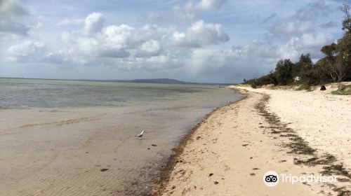 Rosebud Beach