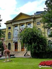 Muséum national d'histoire naturelle « Grigore Antipa » de Bucarest