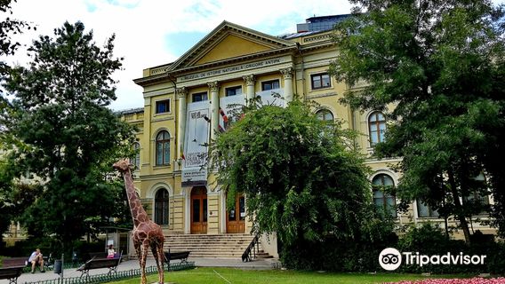 Muséum national d'histoire naturelle « Grigore Antipa » de Bucarest