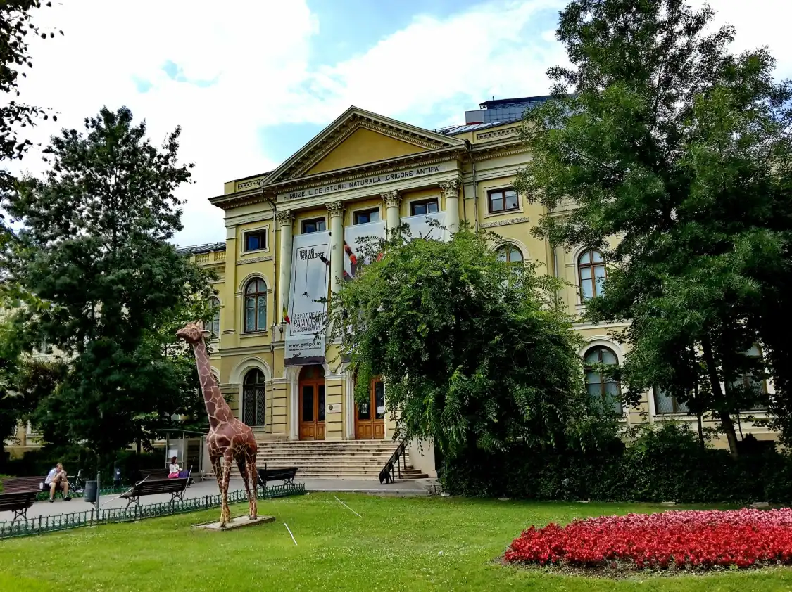 鄰近Grigore Antipa National Museum of Natural History的酒店