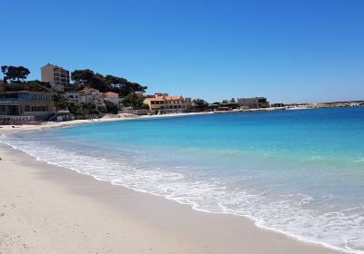 Plage de Renécros