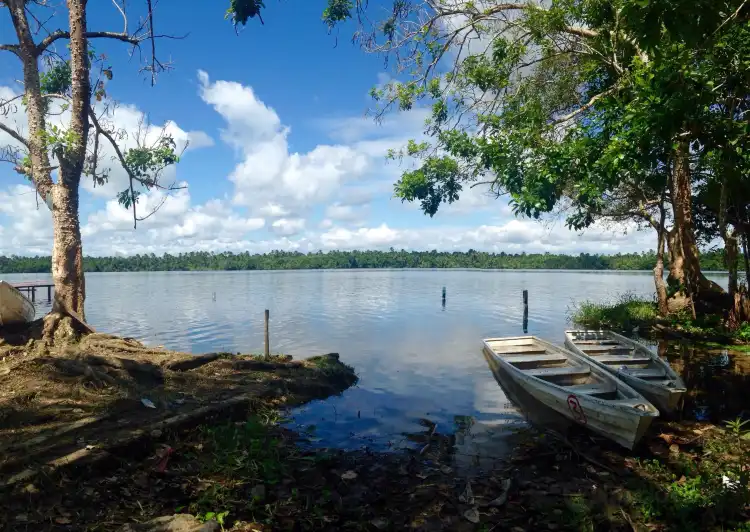 Hotels near Amazon Rescue Center