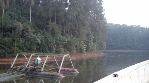 State Park Cantareira Core Cabuçu