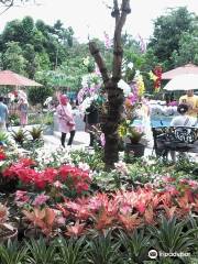 The Forest Island Purwokerto