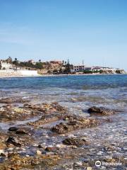 Playa Naturista de Playamarina