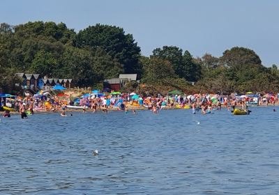 Middle Beach Studland Bay