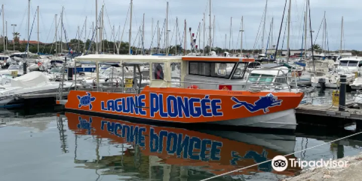 Lagune Plongée