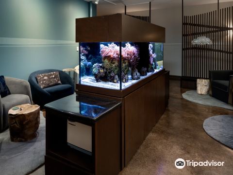 Stillpoint Wellness Spa