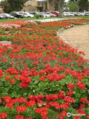 CSU Annual Flower Trial Gardens