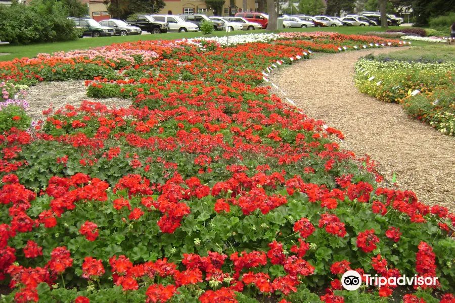 CSU Annual Flower Trial Gardens