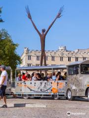 Petit train touristique d’Avignon