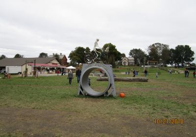 Pigeon Roost Farm