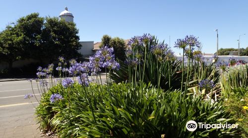 Otakaro Park