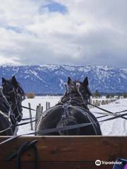 Hap and Florence Points Sleigh Rides