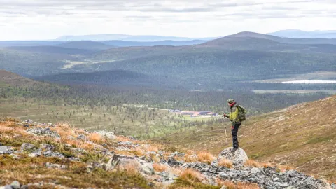 Pallas-Yllästunturi National Park attraction in Lapland