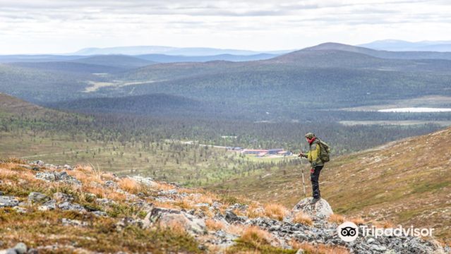 Pallas-Yllästunturi National Park