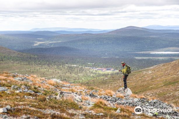 Pallas-Yllästunturi National Park