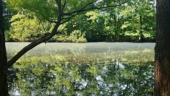 Clayton Community Park