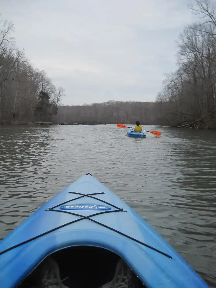 Hotels in Dickson County