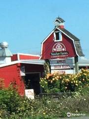 Stocker Farms