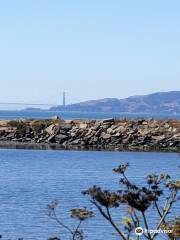 Point Isabel Regional Shoreline