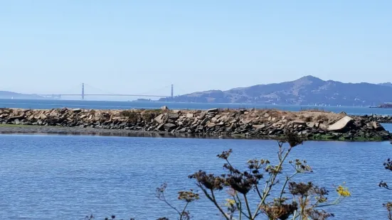 Point Isabel Regional Shoreline